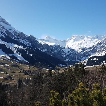 Hotel Crystal Adelboden Ngoại thất bức ảnh