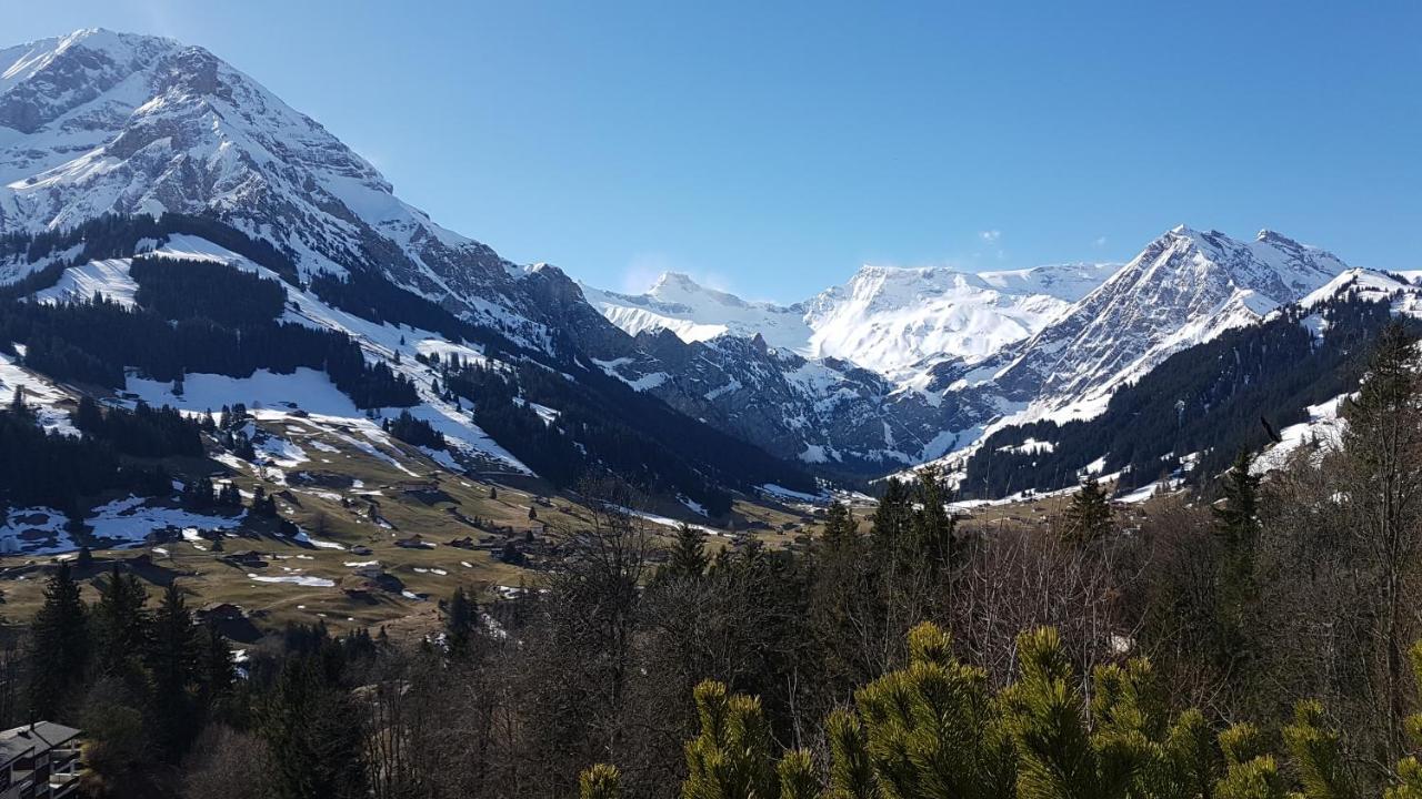 Hotel Crystal Adelboden Ngoại thất bức ảnh